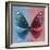 Miss Butterfly Euploea Sq - Blue & Red-Philippe Hugonnard-Framed Photographic Print