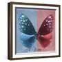 Miss Butterfly Euploea Sq - Blue & Red-Philippe Hugonnard-Framed Photographic Print
