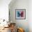 Miss Butterfly Euploea Sq - Blue & Red-Philippe Hugonnard-Framed Photographic Print displayed on a wall