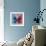 Miss Butterfly Euploea Sq - Blue & Red-Philippe Hugonnard-Framed Photographic Print displayed on a wall