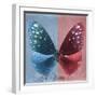 Miss Butterfly Euploea Sq - Blue & Red-Philippe Hugonnard-Framed Photographic Print