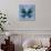 Miss Butterfly Euploea Sq - Blue-Philippe Hugonnard-Stretched Canvas displayed on a wall