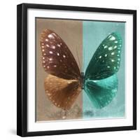 Miss Butterfly Euploea Sq - Caramel & Coral Green-Philippe Hugonnard-Framed Photographic Print