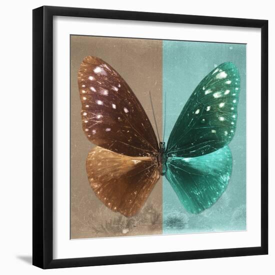 Miss Butterfly Euploea Sq - Caramel & Coral Green-Philippe Hugonnard-Framed Photographic Print