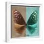 Miss Butterfly Euploea Sq - Caramel & Coral Green-Philippe Hugonnard-Framed Photographic Print