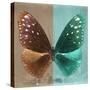 Miss Butterfly Euploea Sq - Caramel & Coral Green-Philippe Hugonnard-Stretched Canvas