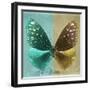 Miss Butterfly Euploea Sq - Coral Green & Gold-Philippe Hugonnard-Framed Premium Photographic Print