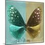 Miss Butterfly Euploea Sq - Coral Green & Gold-Philippe Hugonnard-Mounted Premium Photographic Print