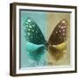 Miss Butterfly Euploea Sq - Coral Green & Gold-Philippe Hugonnard-Framed Photographic Print