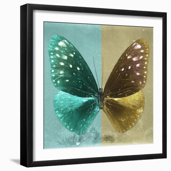 Miss Butterfly Euploea Sq - Coral Green & Gold-Philippe Hugonnard-Framed Photographic Print