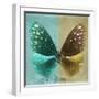 Miss Butterfly Euploea Sq - Coral Green & Gold-Philippe Hugonnard-Framed Photographic Print