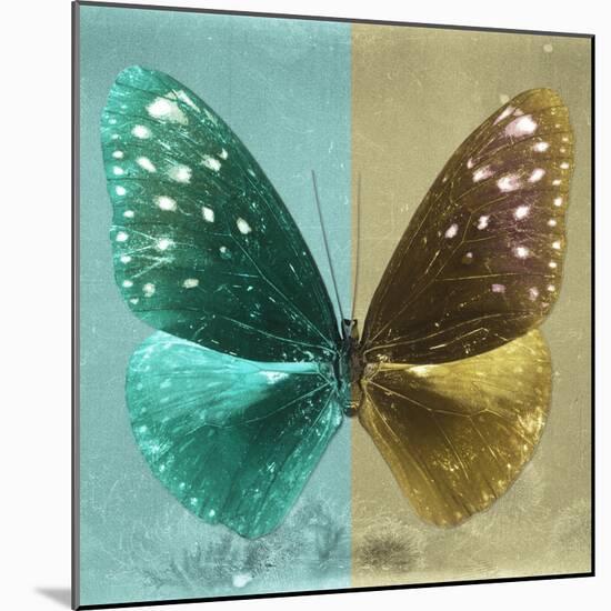 Miss Butterfly Euploea Sq - Coral Green & Gold-Philippe Hugonnard-Mounted Photographic Print