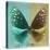 Miss Butterfly Euploea Sq - Coral Green & Gold-Philippe Hugonnard-Stretched Canvas