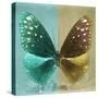 Miss Butterfly Euploea Sq - Coral Green & Gold-Philippe Hugonnard-Stretched Canvas