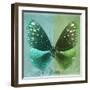 Miss Butterfly Euploea Sq - Coral Green & Green-Philippe Hugonnard-Framed Photographic Print