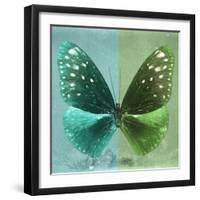 Miss Butterfly Euploea Sq - Coral Green & Green-Philippe Hugonnard-Framed Photographic Print