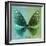 Miss Butterfly Euploea Sq - Coral Green & Green-Philippe Hugonnard-Framed Photographic Print