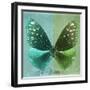 Miss Butterfly Euploea Sq - Coral Green & Green-Philippe Hugonnard-Framed Photographic Print