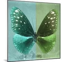 Miss Butterfly Euploea Sq - Coral Green & Green-Philippe Hugonnard-Mounted Photographic Print