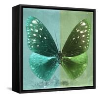 Miss Butterfly Euploea Sq - Coral Green & Green-Philippe Hugonnard-Framed Stretched Canvas