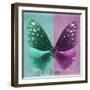 Miss Butterfly Euploea Sq - Coral Green & Hot Pink-Philippe Hugonnard-Framed Photographic Print
