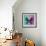 Miss Butterfly Euploea Sq - Coral Green & Hot Pink-Philippe Hugonnard-Framed Photographic Print displayed on a wall