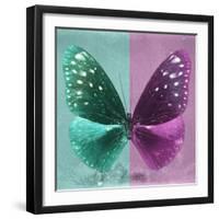 Miss Butterfly Euploea Sq - Coral Green & Hot Pink-Philippe Hugonnard-Framed Photographic Print