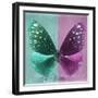 Miss Butterfly Euploea Sq - Coral Green & Hot Pink-Philippe Hugonnard-Framed Photographic Print