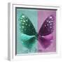 Miss Butterfly Euploea Sq - Coral Green & Hot Pink-Philippe Hugonnard-Framed Photographic Print