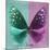 Miss Butterfly Euploea Sq - Coral Green & Hot Pink-Philippe Hugonnard-Mounted Photographic Print