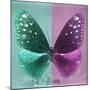 Miss Butterfly Euploea Sq - Coral Green & Hot Pink-Philippe Hugonnard-Mounted Photographic Print