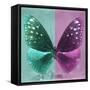 Miss Butterfly Euploea Sq - Coral Green & Hot Pink-Philippe Hugonnard-Framed Stretched Canvas