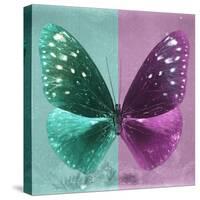 Miss Butterfly Euploea Sq - Coral Green & Hot Pink-Philippe Hugonnard-Stretched Canvas