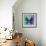 Miss Butterfly Euploea Sq - Coral Green & Purple-Philippe Hugonnard-Framed Photographic Print displayed on a wall
