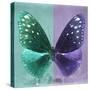 Miss Butterfly Euploea Sq - Coral Green & Purple-Philippe Hugonnard-Stretched Canvas