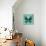 Miss Butterfly Euploea Sq - Coral Green-Philippe Hugonnard-Photographic Print displayed on a wall