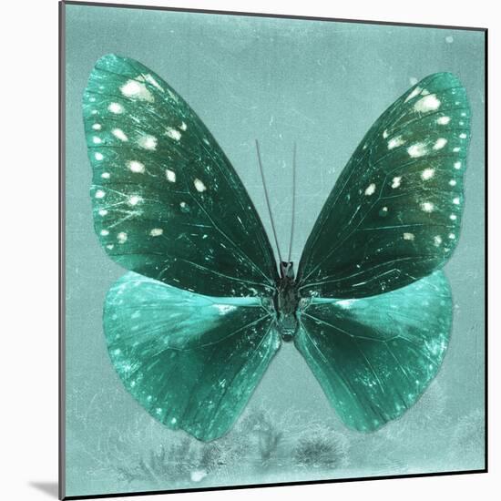 Miss Butterfly Euploea Sq - Coral Green-Philippe Hugonnard-Mounted Photographic Print