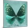 Miss Butterfly Euploea Sq - Coral Green-Philippe Hugonnard-Mounted Photographic Print