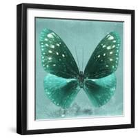 Miss Butterfly Euploea Sq - Coral Green-Philippe Hugonnard-Framed Premium Photographic Print