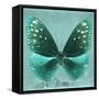 Miss Butterfly Euploea Sq - Coral Green-Philippe Hugonnard-Framed Stretched Canvas