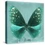 Miss Butterfly Euploea Sq - Coral Green-Philippe Hugonnard-Stretched Canvas