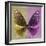 Miss Butterfly Euploea Sq - Gold & Hot Pink-Philippe Hugonnard-Framed Premium Photographic Print