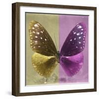 Miss Butterfly Euploea Sq - Gold & Hot Pink-Philippe Hugonnard-Framed Photographic Print