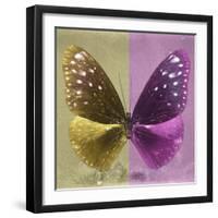 Miss Butterfly Euploea Sq - Gold & Hot Pink-Philippe Hugonnard-Framed Photographic Print