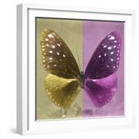 Miss Butterfly Euploea Sq - Gold & Hot Pink-Philippe Hugonnard-Framed Photographic Print