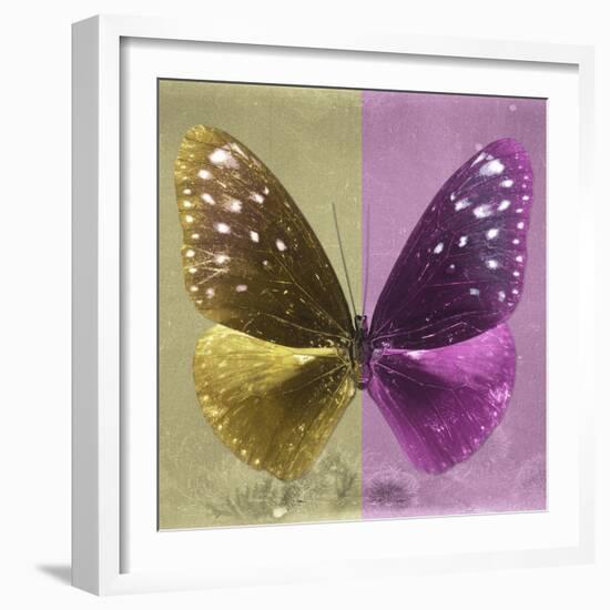 Miss Butterfly Euploea Sq - Gold & Hot Pink-Philippe Hugonnard-Framed Photographic Print