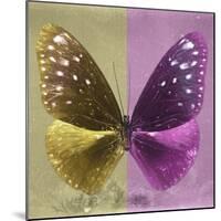 Miss Butterfly Euploea Sq - Gold & Hot Pink-Philippe Hugonnard-Mounted Photographic Print