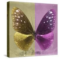 Miss Butterfly Euploea Sq - Gold & Hot Pink-Philippe Hugonnard-Stretched Canvas