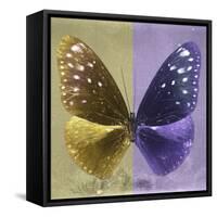 Miss Butterfly Euploea Sq - Gold & Purple-Philippe Hugonnard-Framed Stretched Canvas