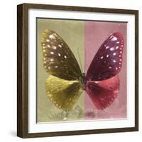 Miss Butterfly Euploea Sq - Gold & Red-Philippe Hugonnard-Framed Photographic Print